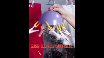 Genius Sock Hack You Didn