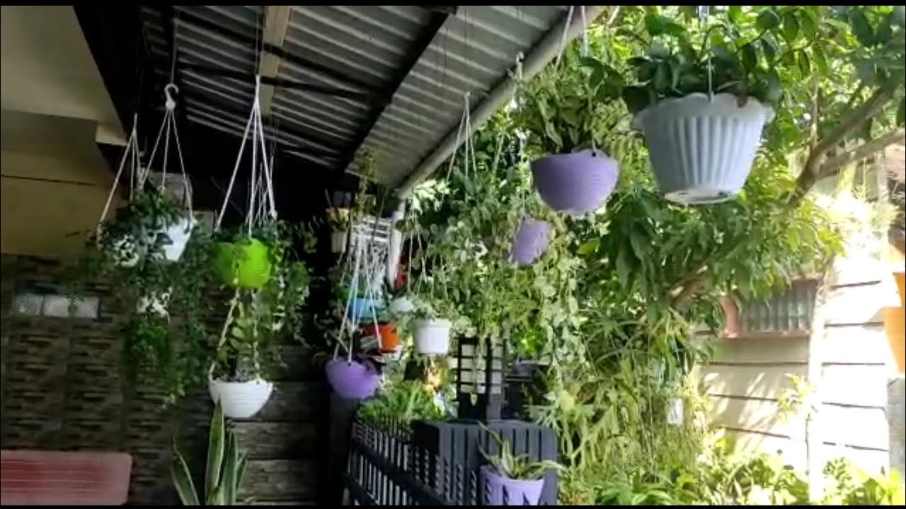 Teras Rumah dan Balkon Jadi Cantik dan Asri dengan Tanaman Hias Gantung ...