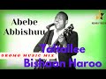 Abebe abbishuu  taltallee bishaan haroo  oromo music