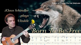 Klaus Schindler: Born To Be Free - Klaus Schindler