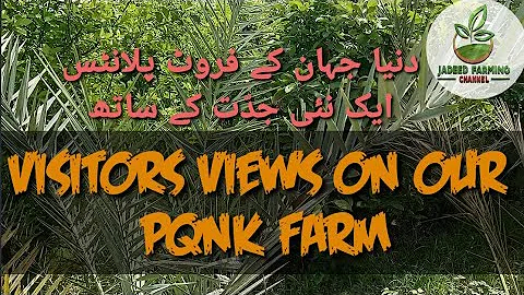 VISITORS VIEWS ON ONE ACRE PROSPERITY MODEL/PQNK