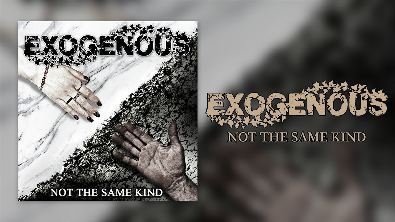 Exogenous - Not The Same Kind (Official Lyric Video)
