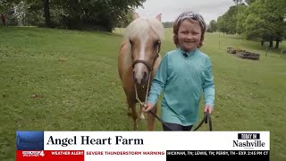 Bart Durham Injury Law Surprise Squad Help with New Addition to Angel Heart Farm