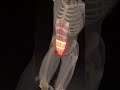 Make Leg Raises Hit Your Abs Harder