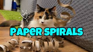 I Made Paper Spirals for My Cats And This Is Their Reaction!