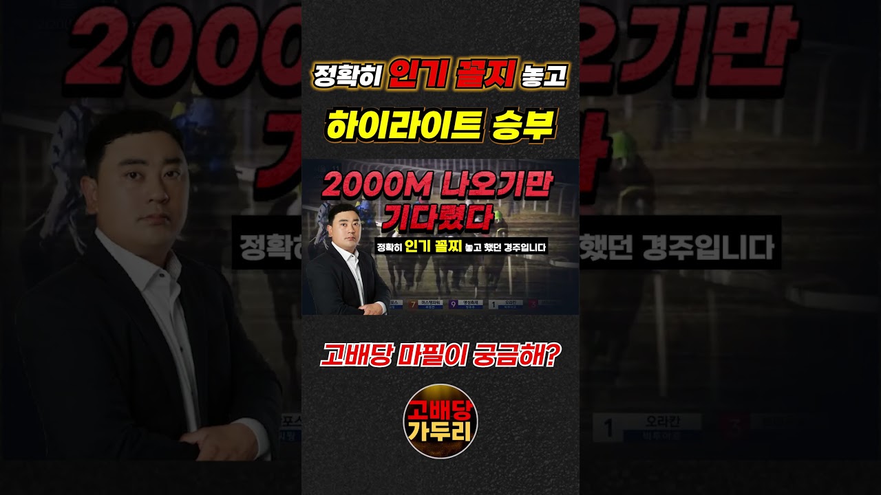 고배당 마필이 궁금해???🎯경마🟢 경마 고배당🟢 서울경마🟡부산경마🔵제주 경마