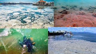 Marmara Denizi Ölü Deniz Mi Oluyor ? Deniz Salyası Nedir?