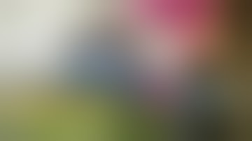 100 preguntas en 5 minutos - Beki Roses OFICIAL #random #preguntasen5minutos #bekiroses