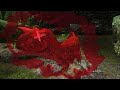 the return of death Carno in ark ep 14 session 1 arktoons