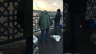 Рыбалка в Стамбуле, Турция пролив Босфор #рыбалка #fishing #fish #рыба