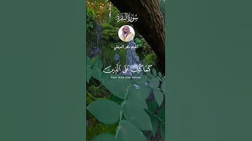 الشيخ ماهر المعيقلي  #اكسبلور #قرآن #explore #لايك #قران_راحة_نفسية #سورة_البقرة