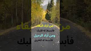 من_اراد_البقاء شعر كلام_حلو شورت البقاء القلب الطريق melodiesandwords