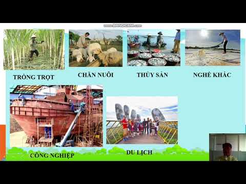 Bài giảng trực tuyến Thứ sáu - Tuần 27 Môn Địa lí Lớp 4 - Bài: Người dân và hoạt động sản xuất ở đồng bằng duyên hải miền Trung.