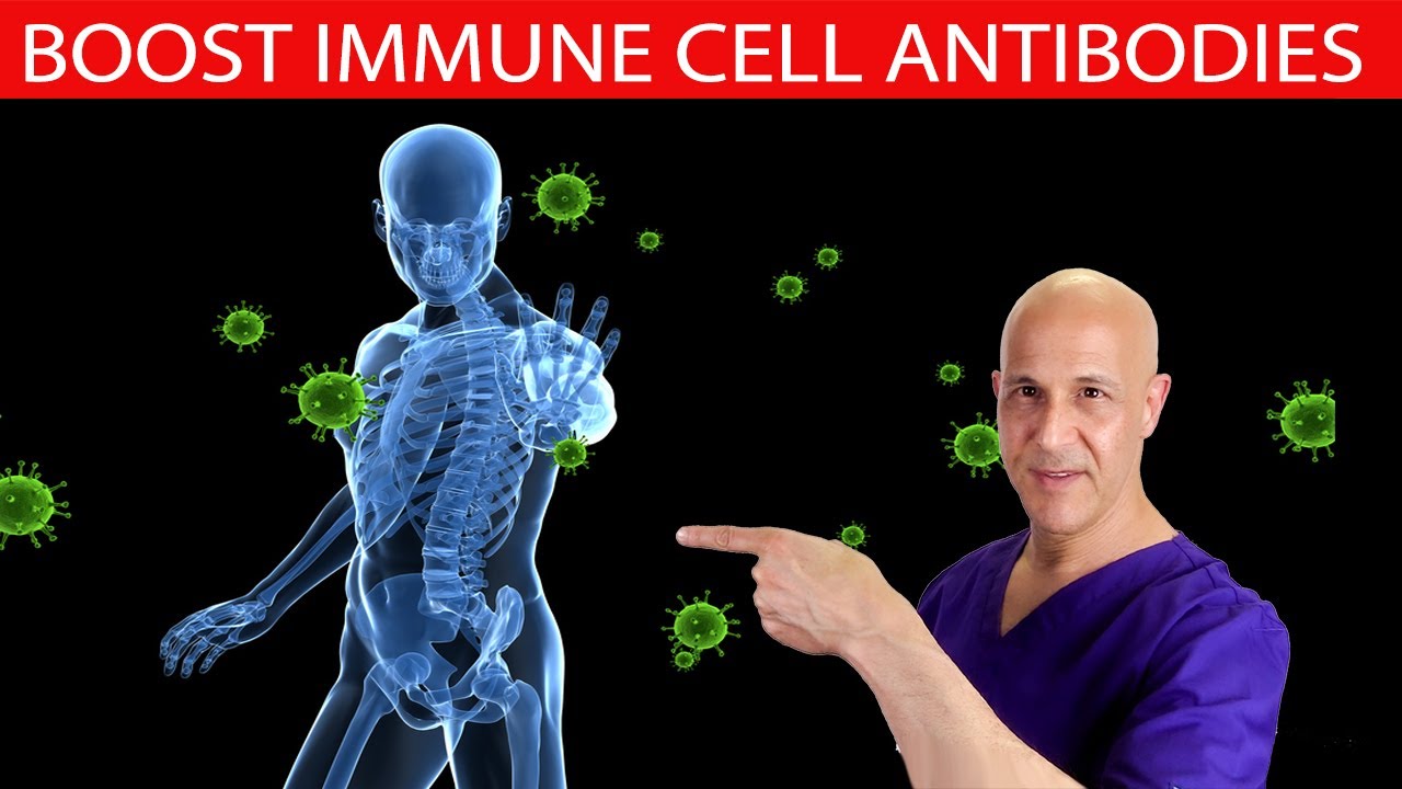 How to decrease stress hormones boost immune cell antibodies dr