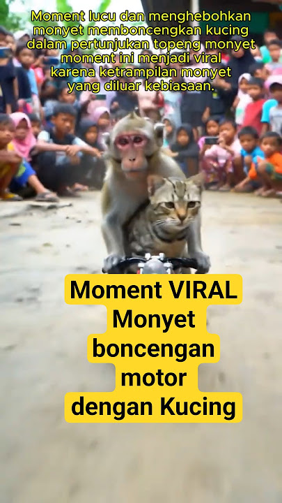 Detik detik monyet memboncengkan kucing dalam pertunjukan topeng monyet #monyetlucu #topengmonyet
