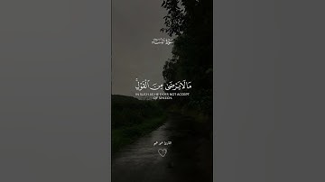 تلاوة خاشعة بصوت القارئ عمير شميم🥰😍