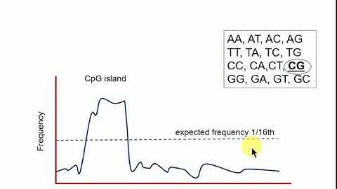 Forward and Reverse Genetics - Epigenetics