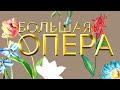 Большая опера – 2019 (шестой сезон). 5-й выпуск