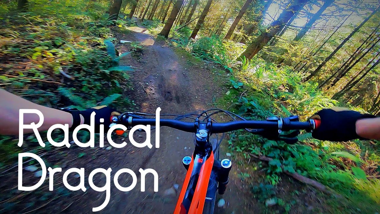 Radical Dragon Galbraith MTB [4K] YouTube
