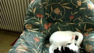 CIMG0246.AVI