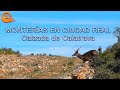 ► Montería de VENADOS 🦌 y Jabalíes en Ciudad Real 💥🦌🦌🦌  Videos de Caza