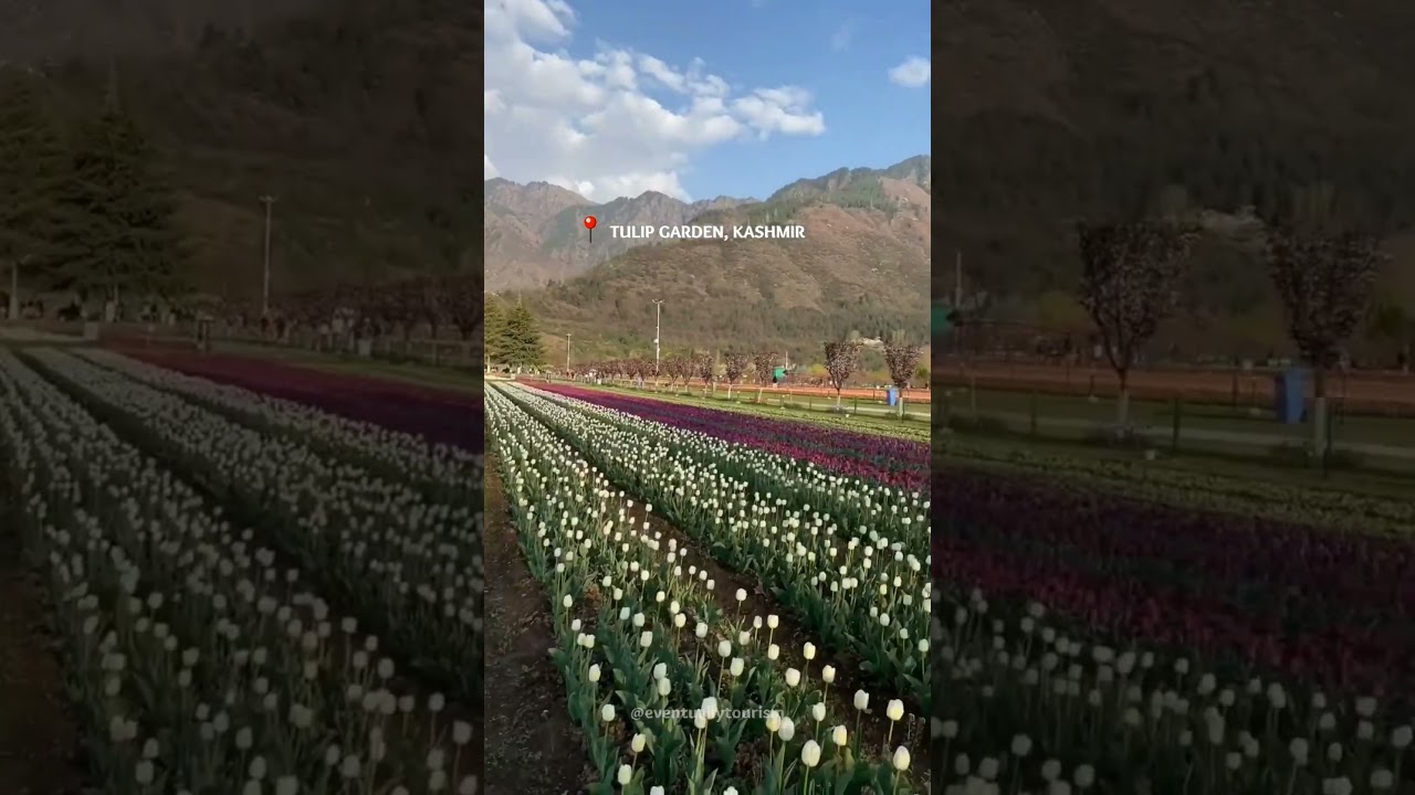 KASHMIR TOUR | EVENTUALLY TOURISM | DMC IN DUBAI