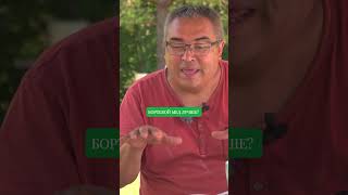 Is Wild Hive Honey Better Than Regular Honey? Beekeeping Is Wild Hive Honey Better Than Regular Honey? Beekeeping
