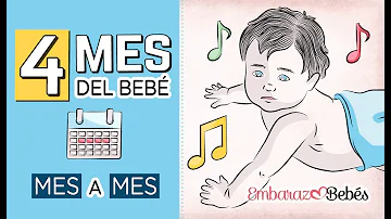 ¿Qué pueden ver los bebés a los 4 meses?