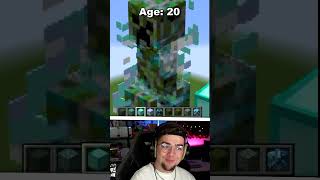 Pixel Art Minecraft à Différents Âges... 😲