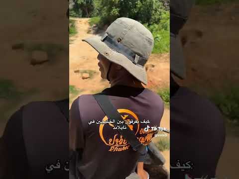 كيف يفرقون بين الخليجيين في تايلاند مقطع مضحك