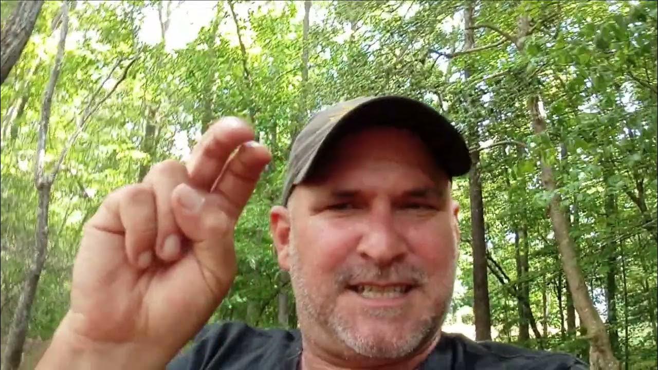 THE S*** IS HITTING THE FAN RIGHT NOW!!!! YouTube