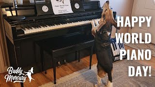 🎹🎶 Cute Dog Celebrates World Piano Day 🎹🎶 88th Day of the Year! by Buddy Mercury 3,124 views 2 years ago 3 minutes, 24 seconds
