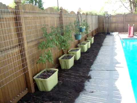 Urban Garden Outdoor Fence Gardening - YouTube