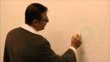 Do Termites Eat Live Trees? Termite Inspection