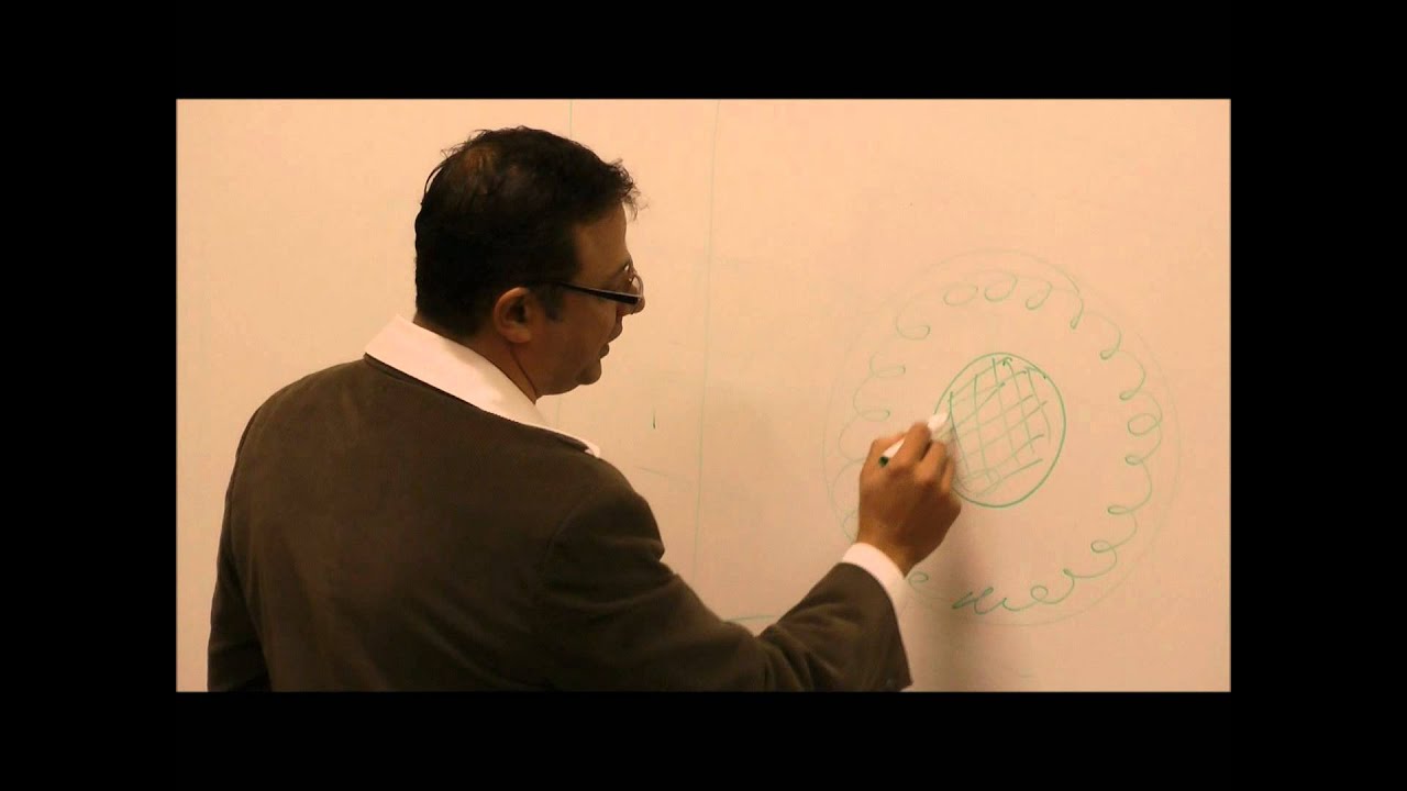 Do Termites Eat Live Trees? Termite Inspection