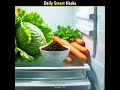 5 Genius Quick Kitchen Rescue Hacks Every Indian Home Needs! 🍲⚡