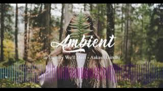 In Eternity We'll Meet - Aakash Gandhi | Relaxing | Ambient | No Copyright Music