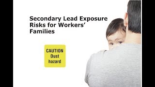 Secondary Lead Exposure Risks for Workers' Families