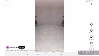 Elefante Galinha Pintadinha 2 Poupançudos Completo Revevso