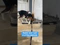 Being a Puppy with Kenny OEpisode 2: Learning Not to Be Afraid #rescuepuppy #puppylife #puppylove