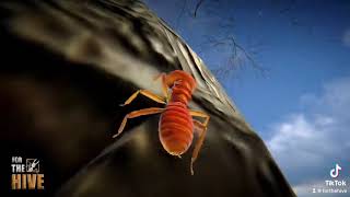 For The Hive Game: Antenna Testing!