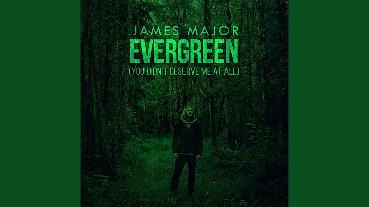 Evergreen (You Didn't Deserve Me At All)