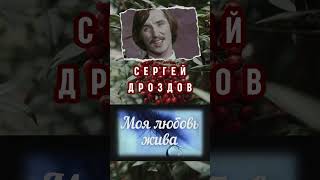 Синяя Птица. Моя любовь жива. Сергей Дроздов #shorts