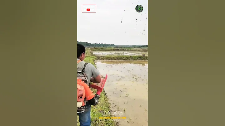 New Rice Planting Machine