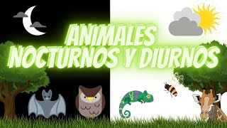 ANIMALES NOCTURNOS Y DIURNOS PARA NIÑOS DE PRIMARIA /  EDUCACIÓN PARA NIÑOS .