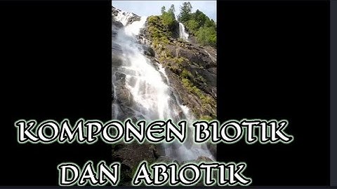 Sumber daya alam yang termasuk dalam komponen abiotik adalah