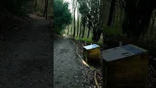 LOST CEMETERY OF 4,100
Devizes Wiltshire !
The old County Asylum Cemetery where 4,100 people are buried !
@jameswalksinhistory3848
#discovery #history #wiltshire LOST CEMETERY OF 4,100