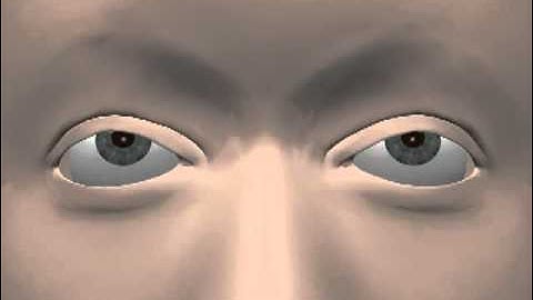 Eye Movement Terminology.flv