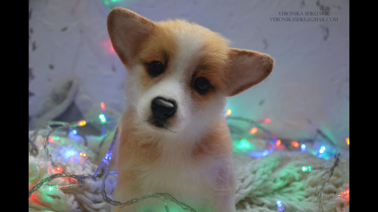 Корги из шерсти Welsh Corgi felted