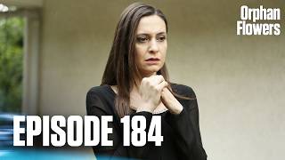 Kırgın Çiçekler I Orphan Flowers - Episode 184